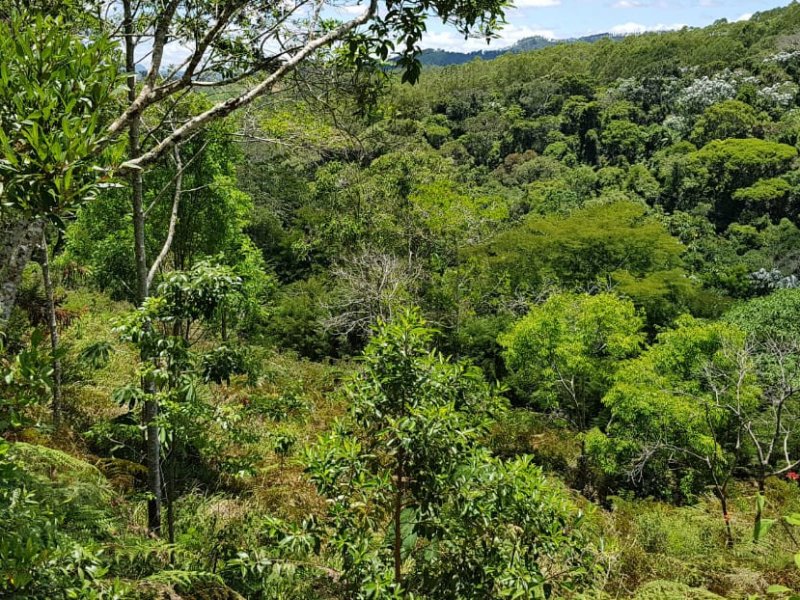 Terreno à venda Centro com 2000m² e  quartos por R$ 380.000 - 1773104789-37abb4b2-6ec0-4f82-8676-24f7393d65ee.jpeg