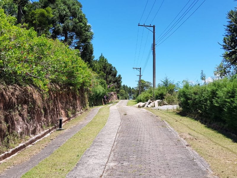 Terreno à venda Centro com 2000m² e  quartos por R$ 380.000 - 654154892-1a3e20d8-a891-4691-81ac-ecee13ca0a7e.jpeg