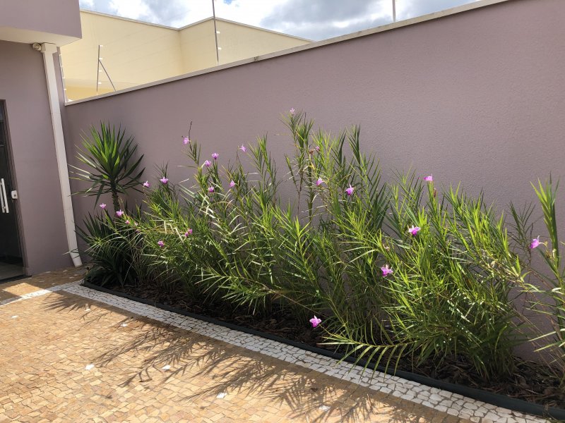 Casa à venda João Aranha com 175m² e 3 quartos por R$ 450.000 - 443952206-04626051-aba7-483c-b246-377ab2681ab8.jpeg