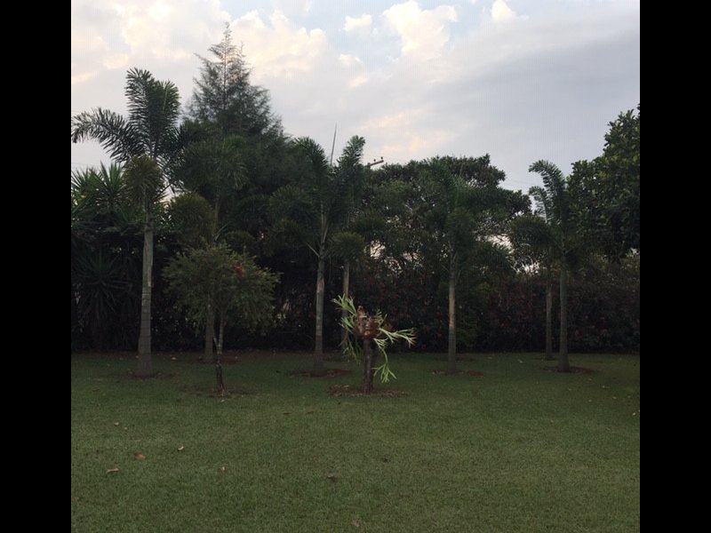 Chacara à venda Jardim Chácaras de Recreio Santa Helena com 5250m² e 3 quartos por R$ 1.800.000 - 878493037-img-8505.JPG