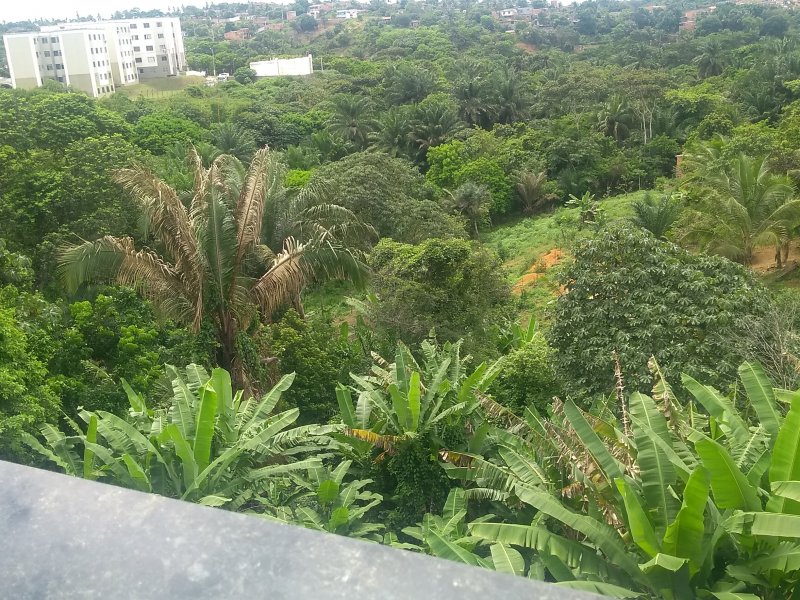 Comercial à venda São Cristóvão com 500m² e  quartos por R$ 500.000 - 2118123091-img-20190422-120054493.jpg
