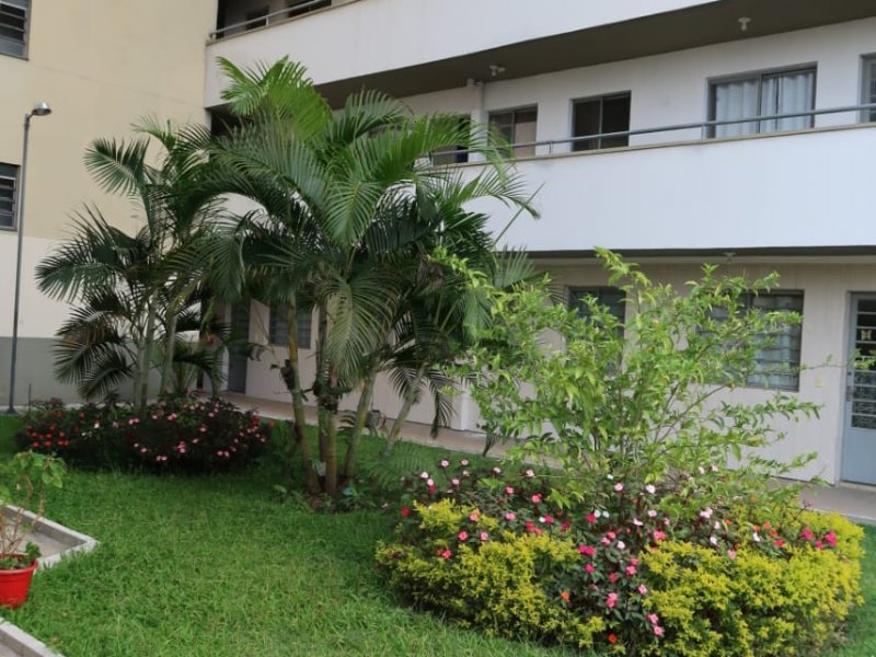 Apartamento à venda Conjunto Promorar Raposo Tavares com 48m² e 2 quartos por R$ 100.000 - 1740840563-img-20190502-wa0003.jpg