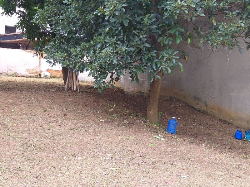Terreno à venda Nova Petrópolis com 400m² e  quartos por R$ 1.000.000 - 1730857135-img-20190426-wa0007.jpeg