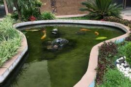 Apartamento à venda Parque Terra Nova com 88m² - 2 dormitórios -  vagas - R$ 390.000 - 438650002-aquario.JPG