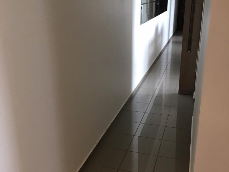 Apartamento à venda Parque Terra Nova com 88m² e 2 quartos por R$ 390.000 - 173611727-corredor-ft-2.jpg
