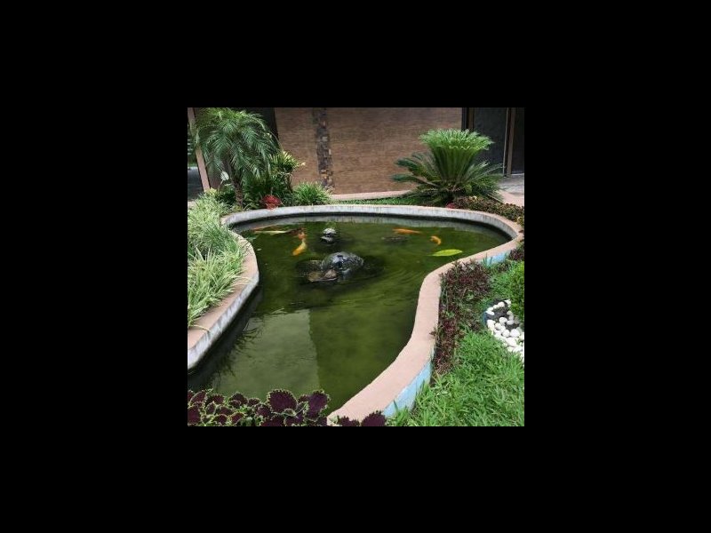 Apartamento à venda Parque Terra Nova com 88m² e 2 quartos por R$ 390.000 - 438650002-aquario.JPG
