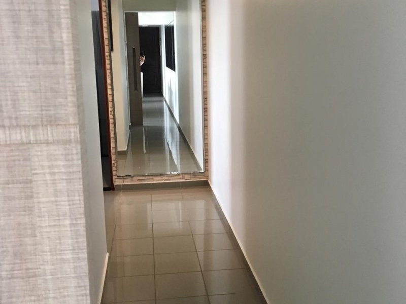 Apartamento à venda Parque Terra Nova com 88m² e 2 quartos por R$ 390.000 - 60131435-corredor-ft-1.jpg