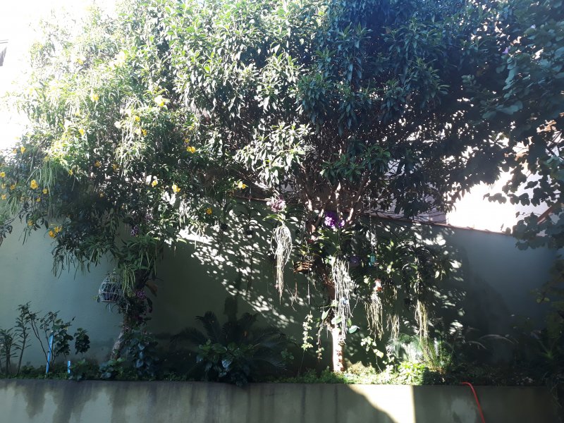 Apartamento à venda Jardim Paulistano com 42m² e 1 quarto por R$ 170.000 - 1712594166-20190425-075609.jpg