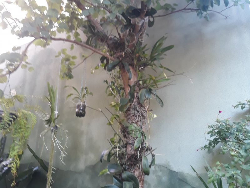 Apartamento à venda Jardim Paulistano com 42m² e 1 quarto por R$ 170.000 - 699655120-20190425-075648.jpg