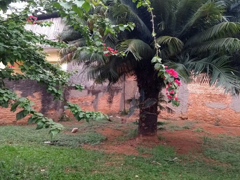 Casa à venda Tatuapé com 450m² e 2 quartos por R$ 2.250.000 - 1980996645-img-20181007-150642233.jpg