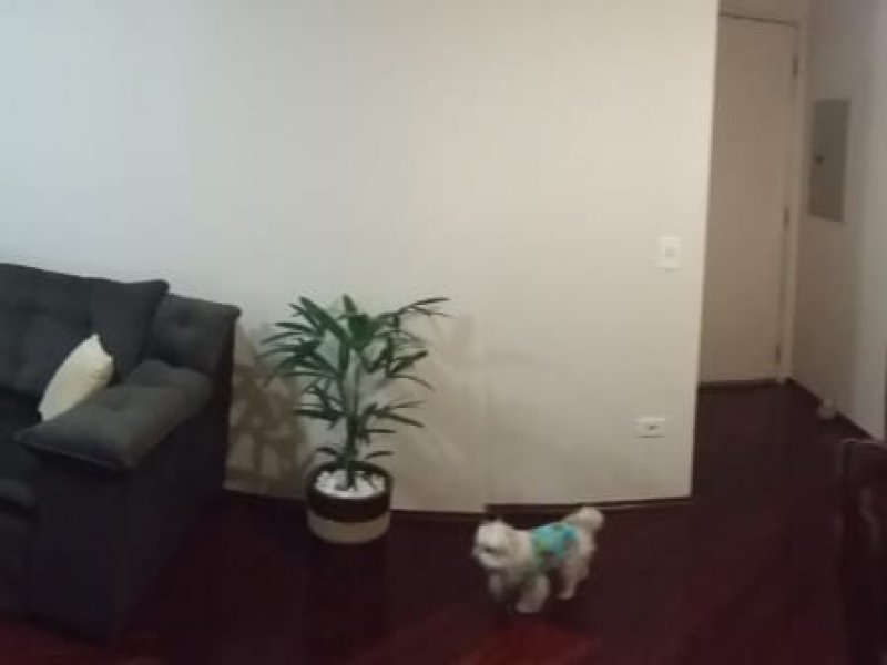 imóvel com 58m² - Mooca - São Paulo