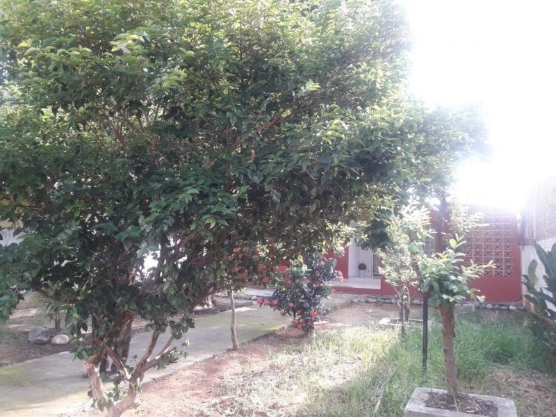 Casa à venda Cidade Nova com 300m² e 2 quartos por R$ 220.000 - 1103455968-img-20190507-wa0055.jpg