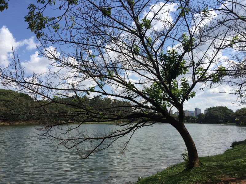 Apartamento à venda Campo Limpo com 66m² e 3 quartos por R$ 340.000 - 686383605-d039678d-7ff4-4224-8416-bda504155048.jpeg