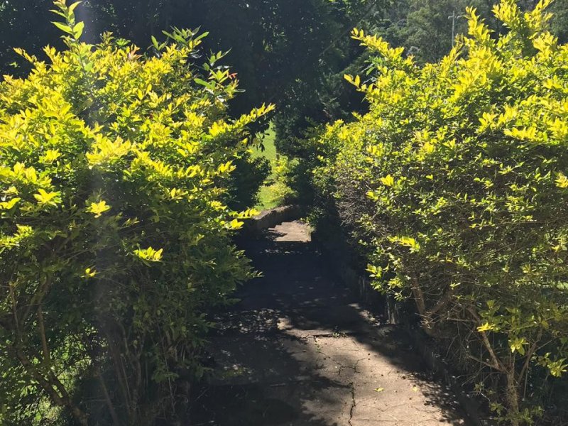 Sítio para alugar Centro com 44000m² e 3 quartos por R$ 350 - 1446193073-ed088e00-e390-4c34-80a2-16fa1d5de2da.jpeg