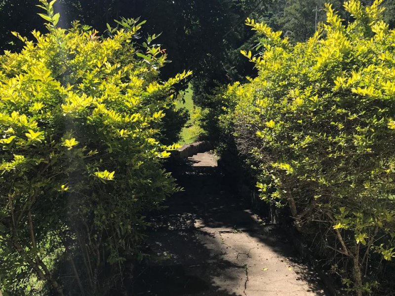 Sítio para alugar Centro com 44000m² e 3 quartos por R$ 350 - 463091110-5e288102-d0b1-4514-b4fc-32c723cf071e.jpeg