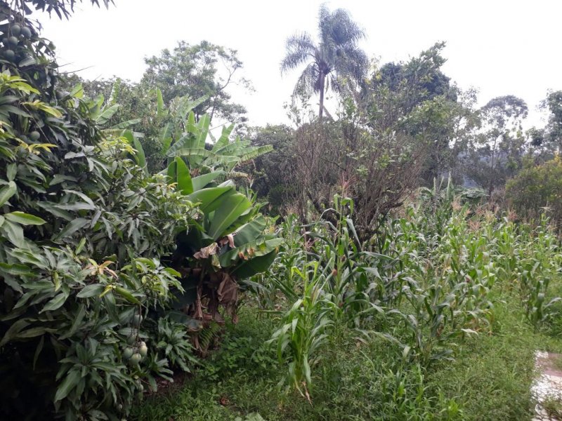 Chácara à venda Jardim das Colinas com 23502m² e 2 quartos por R$ 300.000 - 1156052331-img-20190203-wa0054.jpg