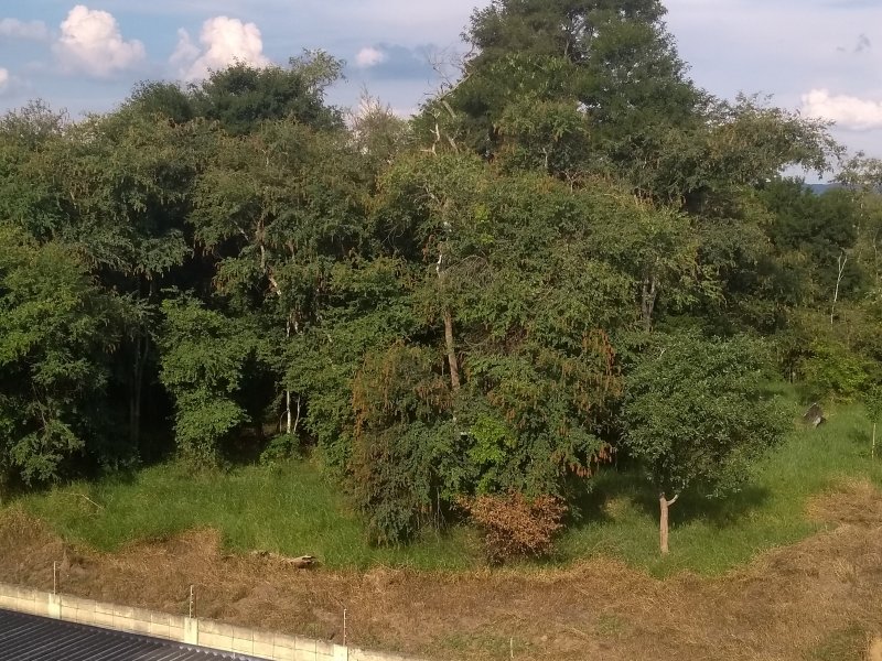 Apartamento à venda Jardim Santa Inês III com 52m² e 2 quartos por R$ 150.000 - 220495434-img-20190512-150609332.jpg