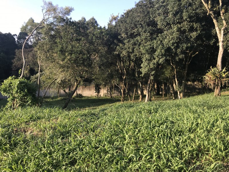 Terreno à venda Nagoya Garden com 752m² e  quartos por R$ 195.520 - 615955003-68de6d54-543f-499f-b231-a2f270afda51.jpeg