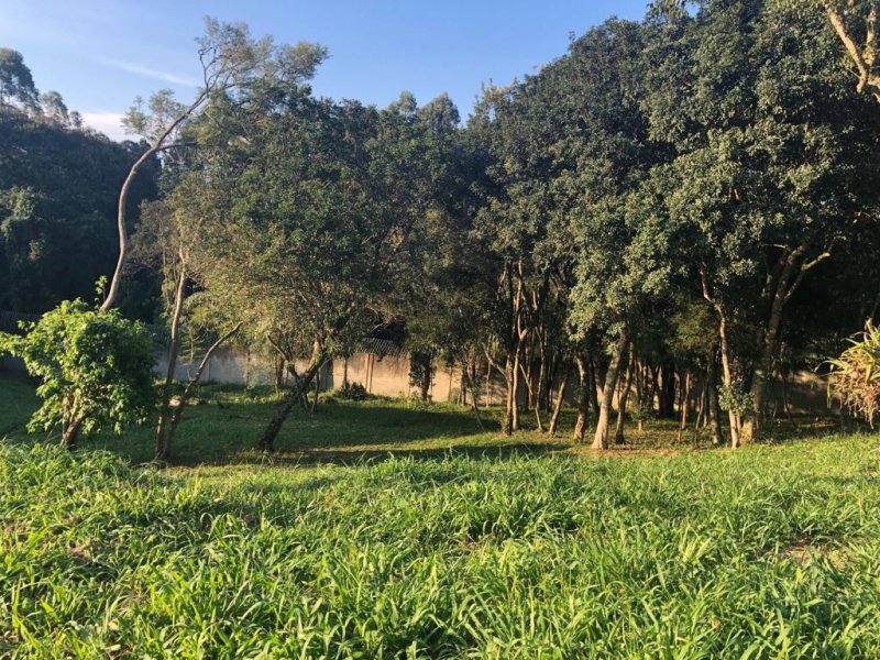 Terreno à venda Nagoya Garden com 752m² e  quartos por R$ 195.520 - 786110876-6f82cd22-20b3-4f8c-ad7c-a95622a2f708.jpeg