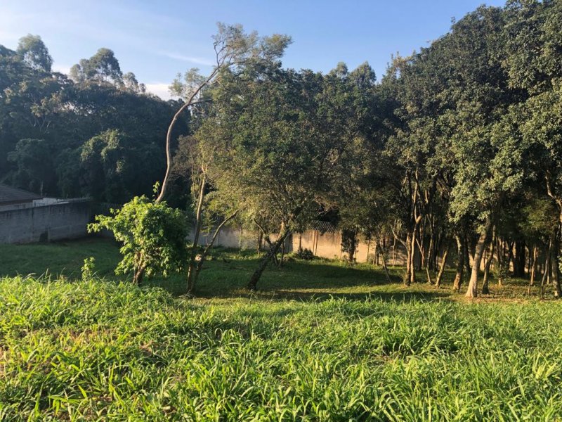 Terreno à venda Nagoya Garden com 752m² e  quartos por R$ 195.520 - 943898704-4bc3c5c6-0592-4182-82b1-6fbe9fc20853.jpeg