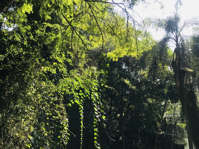 imóvel com 330m² - Village Scorpios I - Cajamar