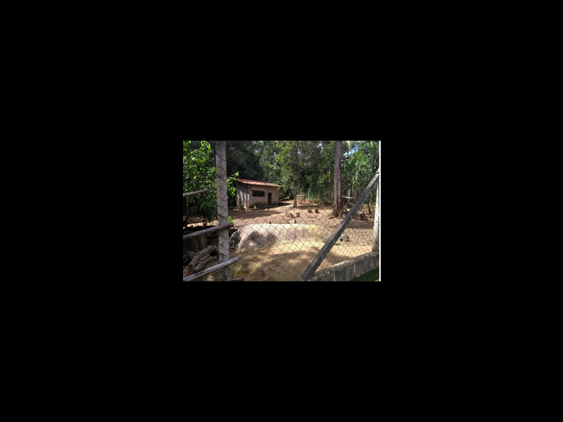 Chácara à venda Machado com 2200m² e 3 quartos por R$ 450.000 - 1802636632-7.png