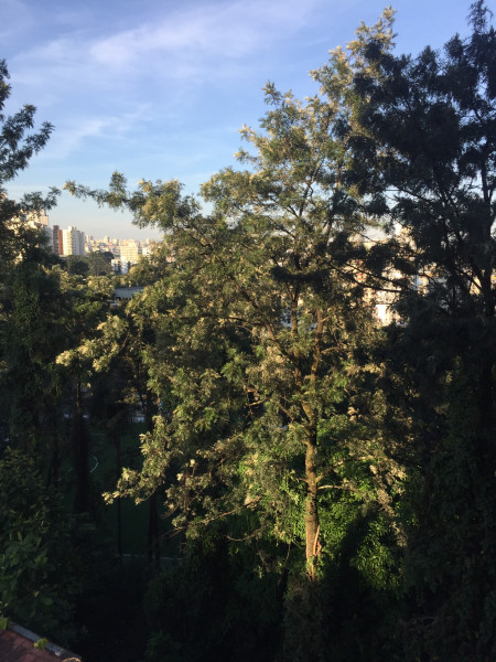 Apartamento à venda Mooca com 135m² e 3 quartos por R$ 700.000 - 1208466428-cd437d7b-65f3-4080-8eef-ad55fc8c504c.jpeg