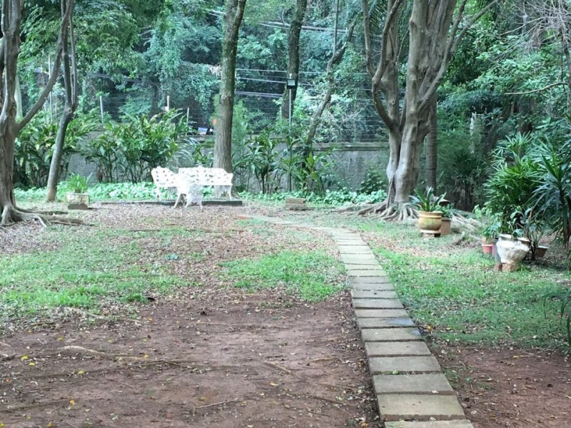 Apartamento à venda Vila Suzana com 72m² e 2 quartos por R$ 370.000 - 1469745600-img-20190515-171908-844.jpg