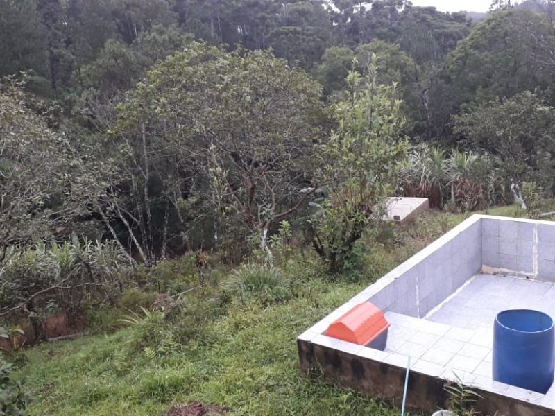 Sítio à venda Cipo com 3000m² e 4 quartos por R$ 350.000 - 583890014-img-20190516-wa0054.jpg