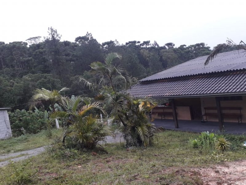 Sítio à venda Cipo com 3000m² e 4 quartos por R$ 350.000 - 601560213-img-20190516-wa0032.jpg