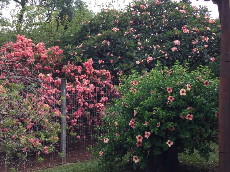 Casa à venda Parque Planalto com 490m² e 5 quartos por R$ 1.850.000 - 881305776-65261553-4e4c-440c-a2e1-a49184bbedb0.jpeg