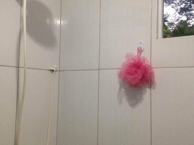 Chácara para alugar Placas com 250m² e 3 quartos por R$ 1.600 - 1121757009-whatsapp-image-2019-05-19-at-18.jpeg