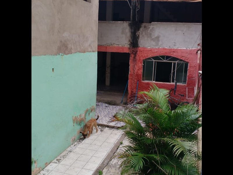 Apartamento para alugar Jardim Santana com 200m² e 2 quartos por R$ 270.000 - 1340941897-whatsapp-image-2019-05-20-at-09.jpeg