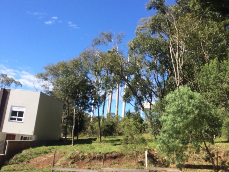 Terreno à venda São Luiz com 402m² e  quartos por R$ 140.000 - 1260935817-133d5f24-69cf-430d-8d77-78f303d90a94.jpeg