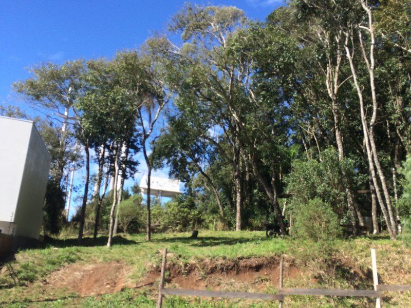 Terreno à venda São Luiz com 402m² e  quartos por R$ 140.000 - 61784309-cd1ce9b4-b57c-41da-b97a-086b1637fd74.jpeg