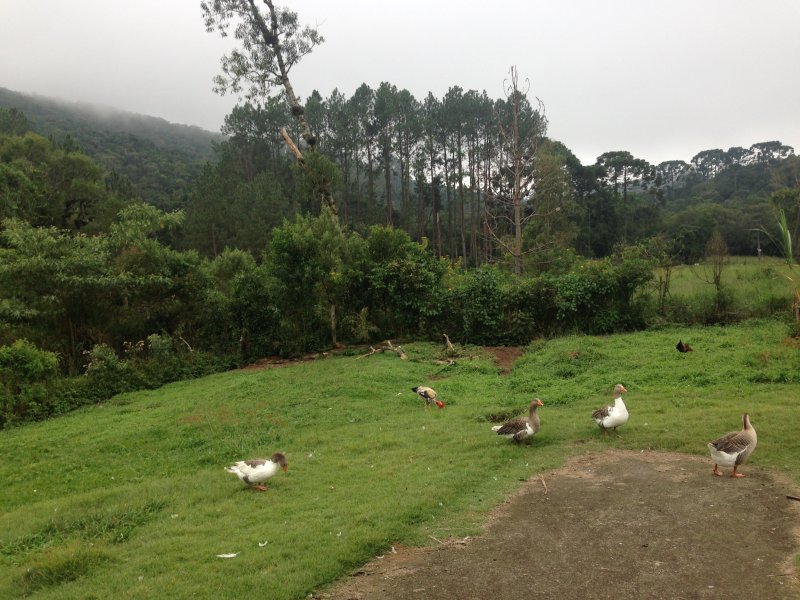 Chácara à venda centro com 220m² e 4 quartos por R$ 490.000 - 1745709106-042.JPG