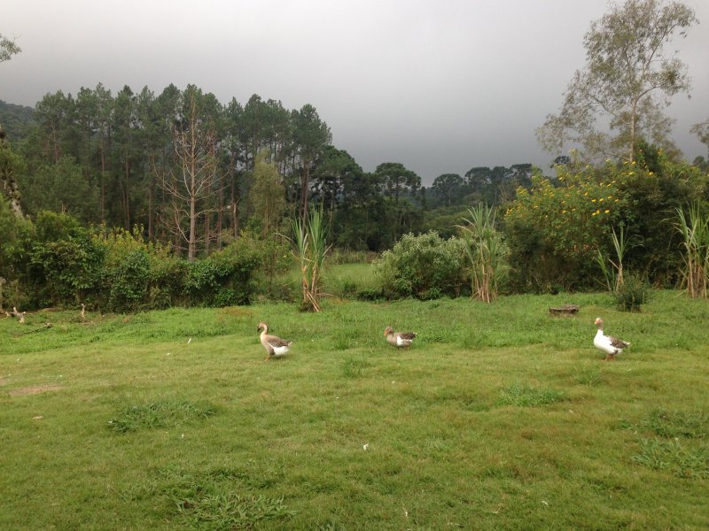 Chácara à venda centro com 220m² e 4 quartos por R$ 490.000 - 308078357-053.JPG