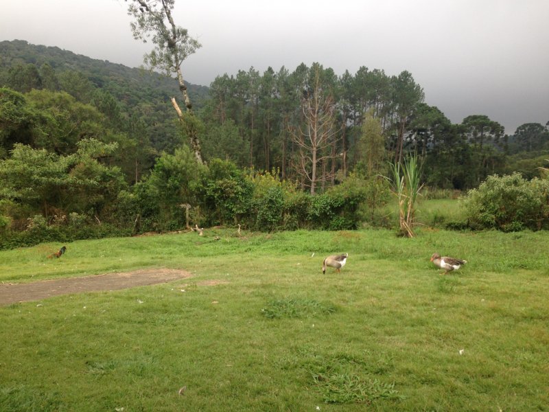 Chácara à venda centro com 220m² e 4 quartos por R$ 490.000 - 599623384-054.JPG