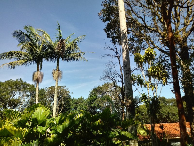 Chácara à venda Tatetos com 9600m² e 2 quartos por R$ 600.000 - 1893248327-20190420-105613-hdr.jpg