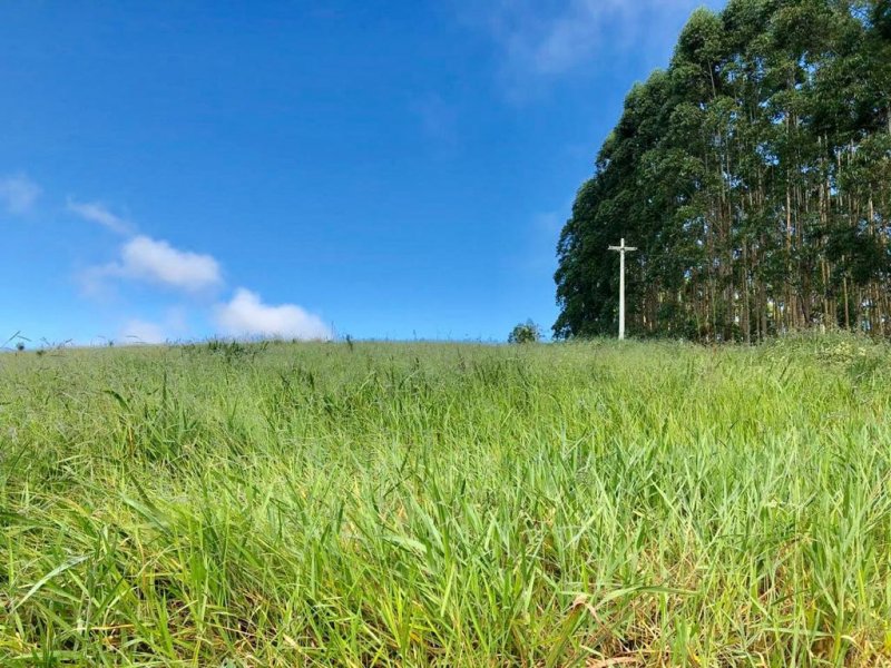 Terreno à venda Jardim Bonfim com 1000m² e  quartos por R$ 35.000 - 2043464379-837c00e7-1620-4020-9308-699ed10816eb.jpg