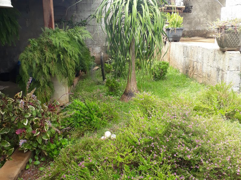 Casa à venda Granjas Reunidas São Vicente com 30m² e 1 quarto por R$ 280.000 - 825847629-20190511-111638.jpg