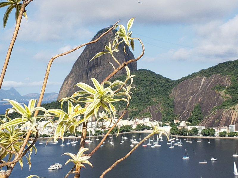 Cobertura à venda Botafogo com 263m² e 3 quartos por R$ 3.900.000 - 839780459-20190424-150329.jpg
