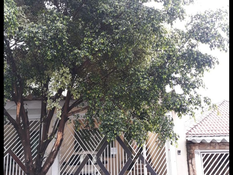 imóvel com 170m² - Vila Alpina - São Paulo