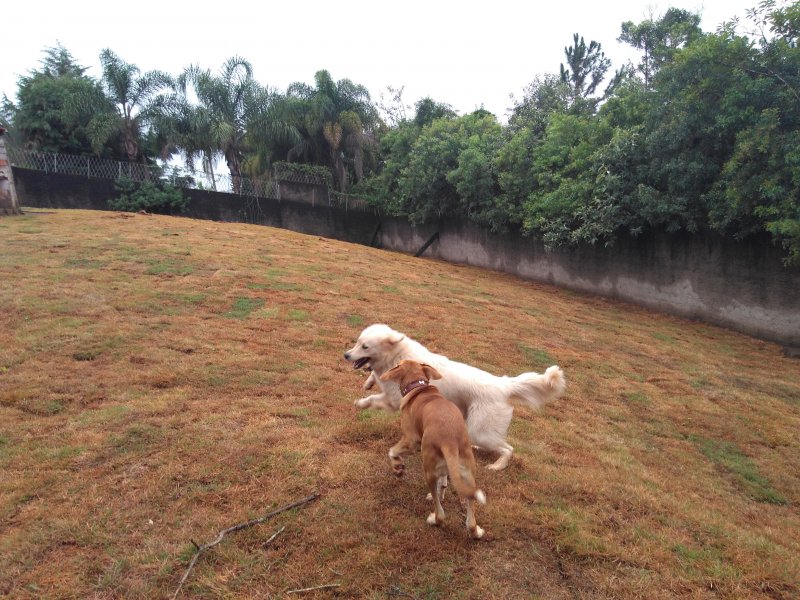 Casa de condomínio à venda Chácara Vale do Rio Cotia com 2000m² e 3 quartos por R$ 1.230.000 - 900399983-img-20190302-075904202.jpg