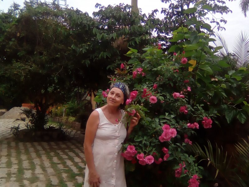 Casa à venda Praia do Rosa com 830m² e 2 quartos por R$ 1.800.000 - 1643501365-img-20181216-191448.jpg