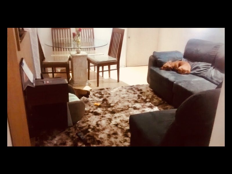 Apartamento à venda Jardim Itapemirim com 50m² e 2 quartos por R$ 275.000 - 1767895935-13ae24a1-5ba0-46af-8afe-ce0261e55bb4.jpeg