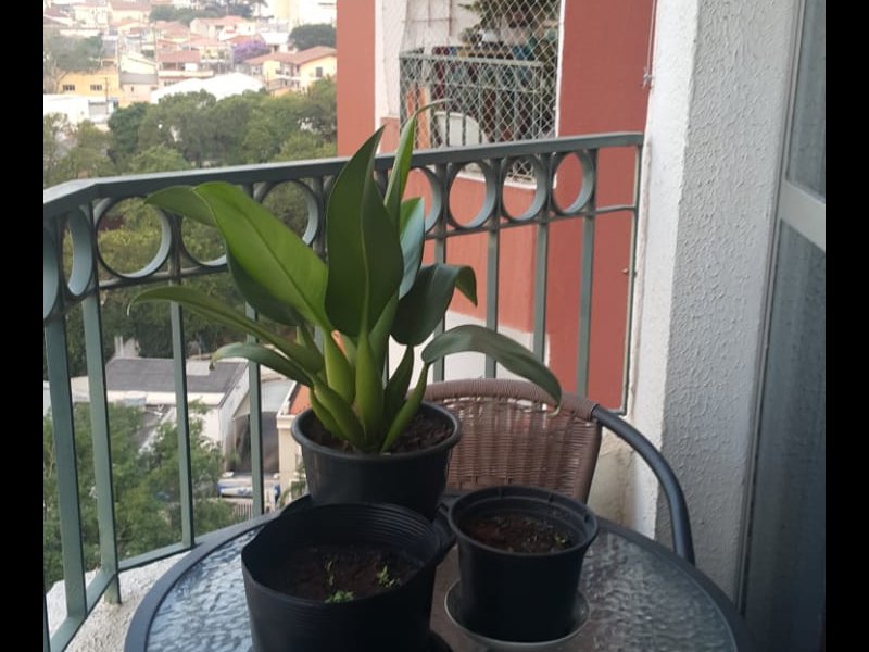 imóvel com 73m² - Vila Gumercindo - São Paulo