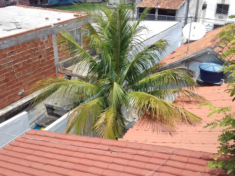 Casa à venda Quintino Bocaiúva com 400m² e 3 quartos por R$ 600.000 - 1524281984-20180217-140322.jpg