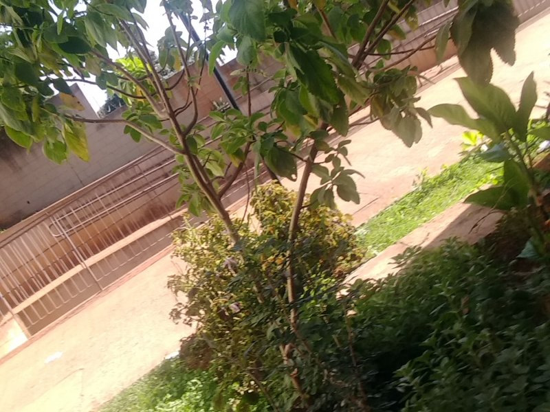 Apartamento à venda Vl. Nova Bonsucesso com 48m² e 2 quartos por R$ 120.000 - 161314518-img-20210505-133830465.jpg