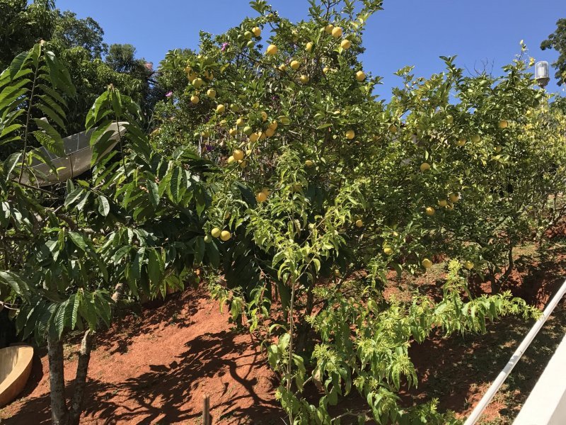 Casa de condomínio à venda Centro com 1500m² e 10 quartos por R$ 600.000 - 1080058786-800x600-1469686564-123.jpeg